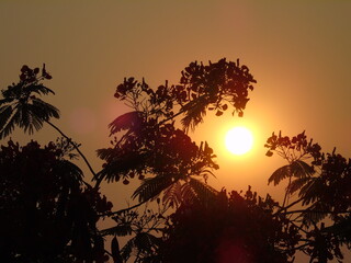 Atardecer