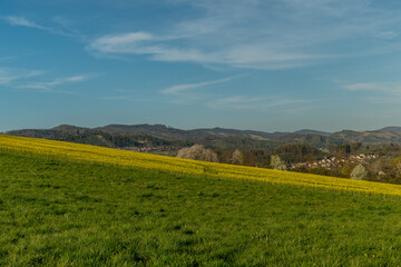 View of a hill on which is a rapeseed field full of yellow flowers.