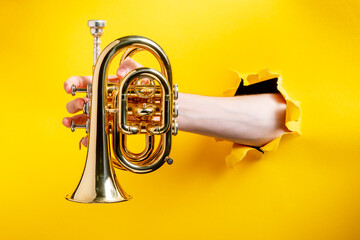 Hand holding a mini trumpet through torn yellow paper background - obrazy, fototapety, plakaty