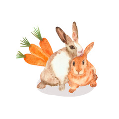 Watercolor hand painted nature wild animal and plant composition with beige and red rabbits pair and orange carrot vegetables bouquet on the white background with the space for text