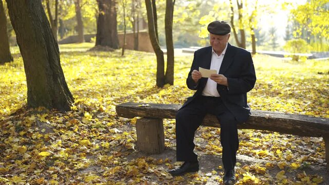 Happy man looking at old photos and talking while sitting on bench in sunny park