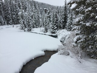Snow-covered River