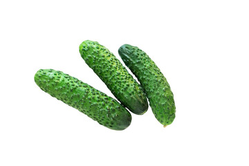 three fresh cucumbers on a white background close up