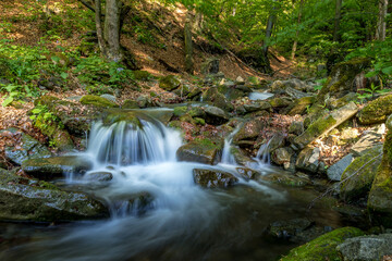A mountain stream flowing through a landscape in a dense forest captured by long exposure time.