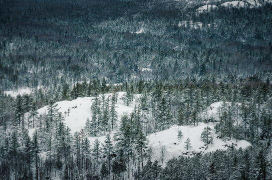Winter at Upper Peninsula, Michigan