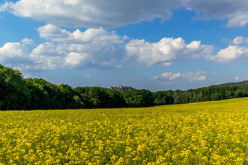 Helfstyn castle view of the surrounding forest and rapeseed field lying below the castle during a sunny day.