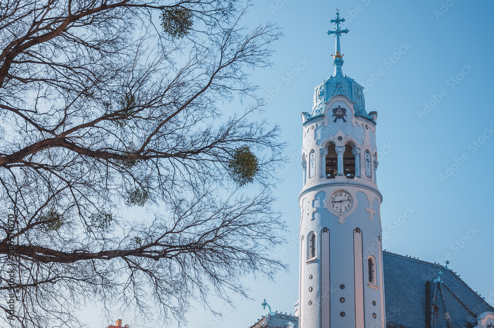 Wall mural Blue Church of Bratislava on a sunny day