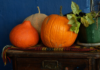 Pumpkin with decorative gourds and a flower pot in a rural setting.