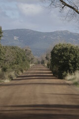Cabañeros national park
