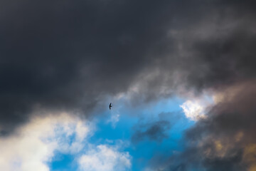 Naklejka na ściany i meble Colorful sky with clouds, a bird in flight. Background design.