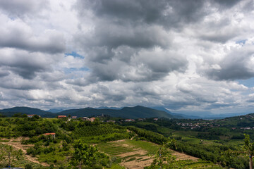 Fototapeta premium The view from the heights of the mountains, fields, and vineyards of the Italian foothills of the Alps