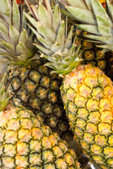 Ananas sold in a brazilian beach, Praia do pipa ,natal Brazil