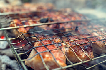 Juicy slices of meat shish kebab are cooked on the coals in the grill close up