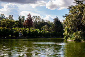 Chapultepec, national park Mexico City. Nature photo of the lake