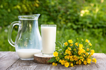A glass of milk with a jug and a bouquet of yellow wild flowers in the open air.