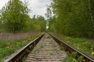 old railway in the summer forest