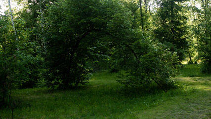 
Landscapes and views in the Botanical Garden in Radzionk&oacute;w. Ready for entry.