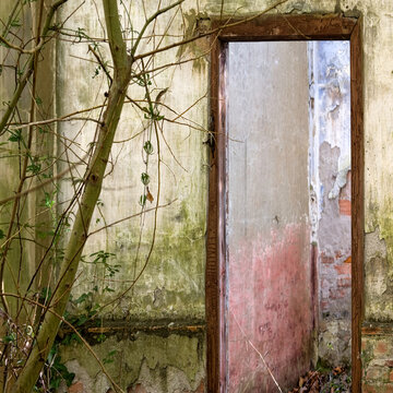 Aged shabby stone wall of desolate building with open door and tree growing nearby