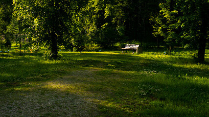 Obraz premium Landscapes and views in the Botanical Garden in Radzionków. Ready for entry.