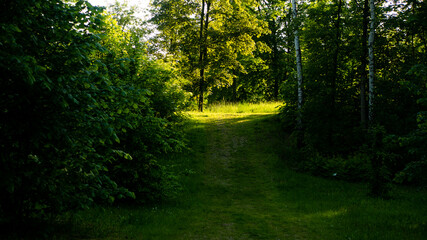 
Landscapes and views in the Botanical Garden in Radzionków. Ready for entry.