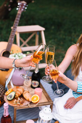 Picnic in the park. Picnic in the garden. Hen-party in the garden