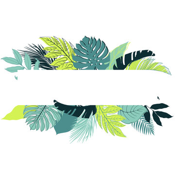 Tropical plants stationery design. Frame with exotic monstera, banana, palm leaves in background. Vector illustration.