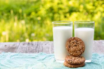 Two glasses of milk with cookies on a background of green grass on a Sunny summer day with space to copy.
