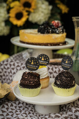 Outdoor recreation during the quarantine period. Beautiful presentation of the food