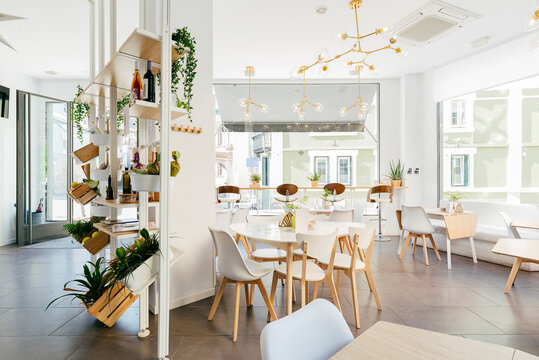 Interior of spacious light contemporary restaurant with big windows decorated with exotic plants and cozy chairs at tables under creative pendant lamps