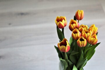 Obraz premium Tulipany, bukiet kwiatów