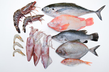 fresh raw fish