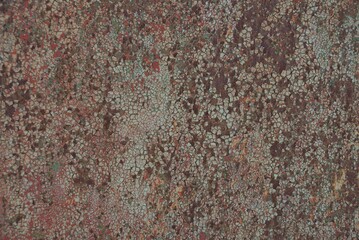 brown gray metal texture from old rusty iron wall