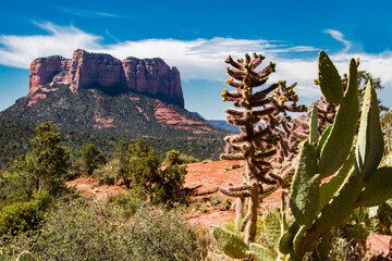Landscape of the American Southwest with a butte, cactus and native plants against a harsh but...