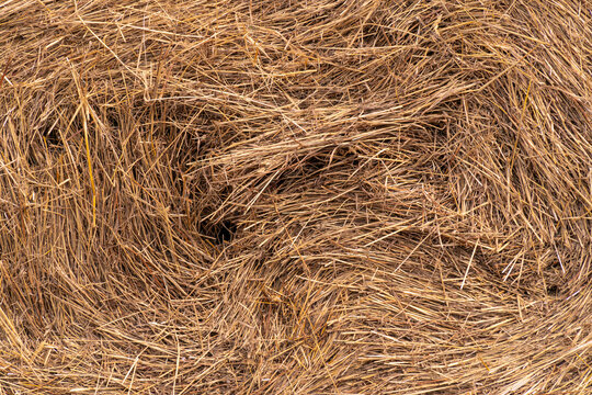 Close-up of a twisted stack of straw.
