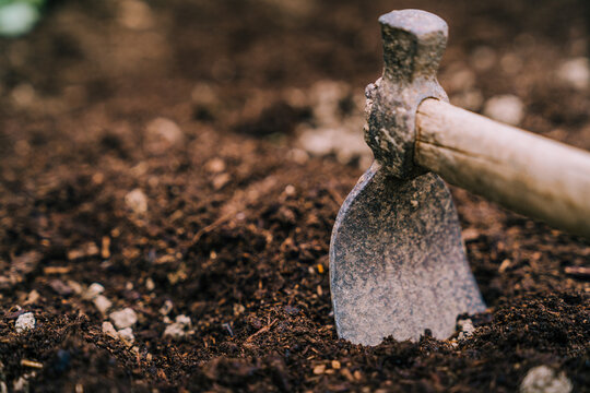 Mattock placed on ground in garden