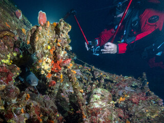 Wrack Dorsch Taucher