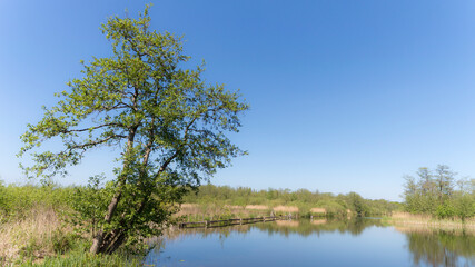 Nature Reserve The Ankeveense Plassen in April 2020