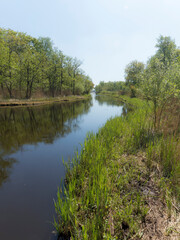 Fototapeta na wymiar Nature Reserve The Ankeveense Plassen in April 2020