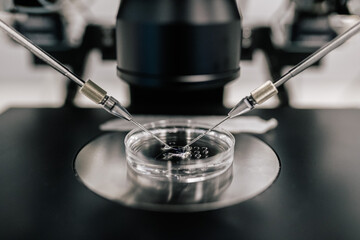 Closeup thin needles inserting sperm into ovum during fertilization process in modern clinic