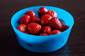 Strawberries in a blue bowl, isolated, healthy snack