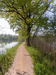 Fototapeta premium Nature Reserve The Ankeveense Plassen in April 2020