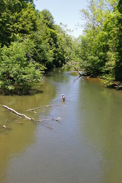 Fisherman In The Mohican River, Ohio