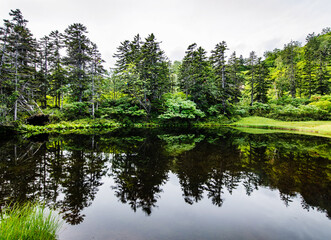 Midori-numa Pond, Daisetsu Kogen Onsen trail, Daisetsuzan National Park, Kamikawa, Hokkaidō, Japan, Asia