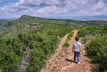 Fototapeta premium child walking in the bush in rural areas