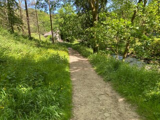 Obraz premium Forest track through Hardcastle Crags in, Midgley, Halifax, UK