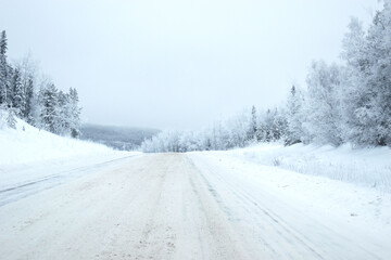 Fototapeta premium CARRETERA NEVADA RODEADA DE PINOS