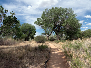 Fototapeta premium Summer path in the country