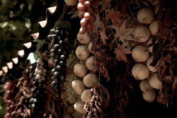 Roma, Food and Restaurant in Trastevere