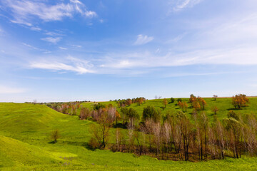 Fototapeta na wymiar Spring photography, meadows, fields, ravines, hills, rural landscape. A deep, narrow gorge with steep slopes. A naturally raised area of land, not as high or craggy as a mountain.