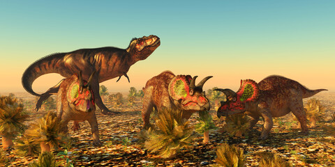 Triceratops Dinosaurs in Danger - A group of male Triceratops dinosaurs become alarmed as a Tyrannosaurus rex carnivore eyes them as prey in Jurassic North America.